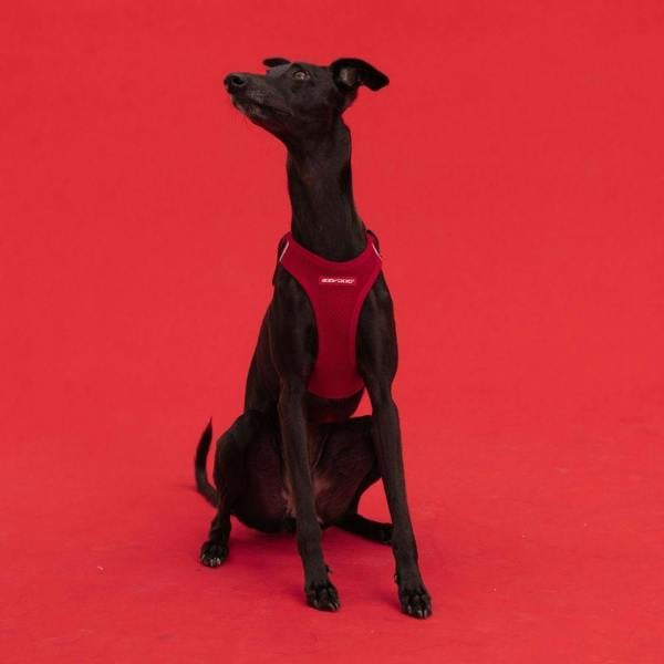EzyDog FORMFIT® Mesh Dog Harness in Red