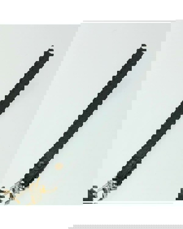 155443578.jpg