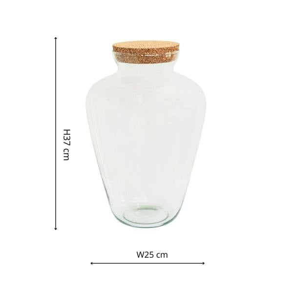 Ivyline Teardrop Glass Lid Terrarium
