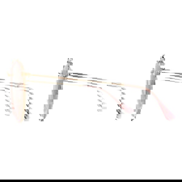 Ray-Ban Sunglasses Round Double Bridge 3647N 9069A5 Pink Pink Gradient Brown