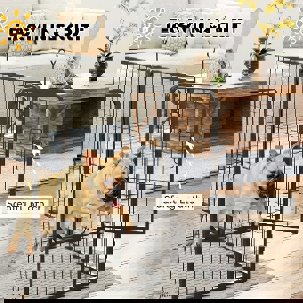 D06-250V01BK