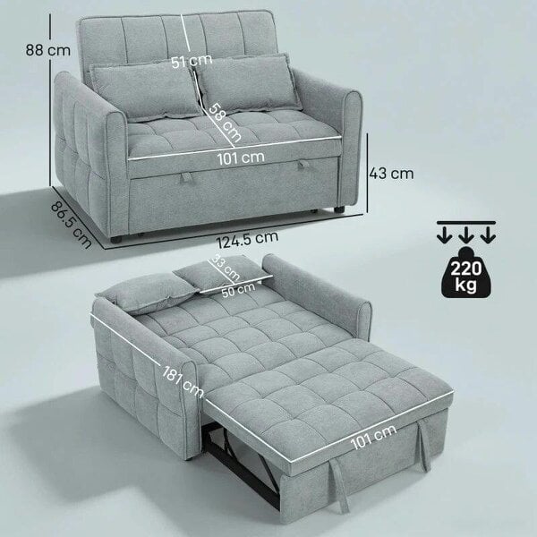 2 Seater Sofa Bed, 3-in-1 Convertible Sleeper Sofa with Click-clack Adjustable Backrest and 2 Pillows, Grey