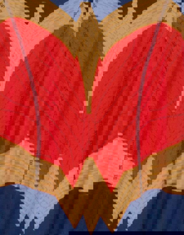 DC Comics Womens Blue Logo Sleeveless Skater Dress