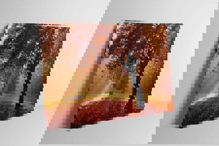 golden autumn forest art print