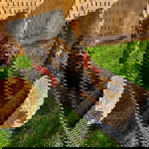 BritishmadeGifts England - St George's Lion Roar - Beach Towel