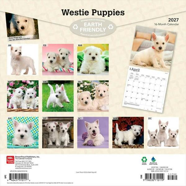 Westie Puppies Calendar 2027, Wall Calendars, Month To View, Dogs, Gift