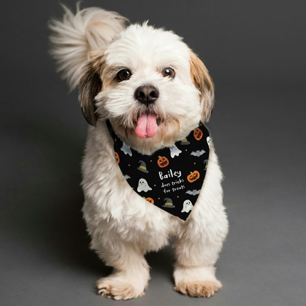Personalised Memento Company Personalised Halloween Dog Bandana