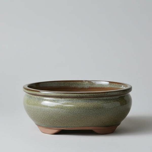 Yorkshire Bonsai 18cm Glazed Bonsai Pot | Oval | 18cm x 15cm x 6cm | Green