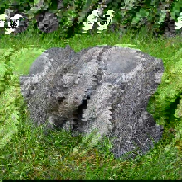 Stone Cast Flower Pot with Rabbits