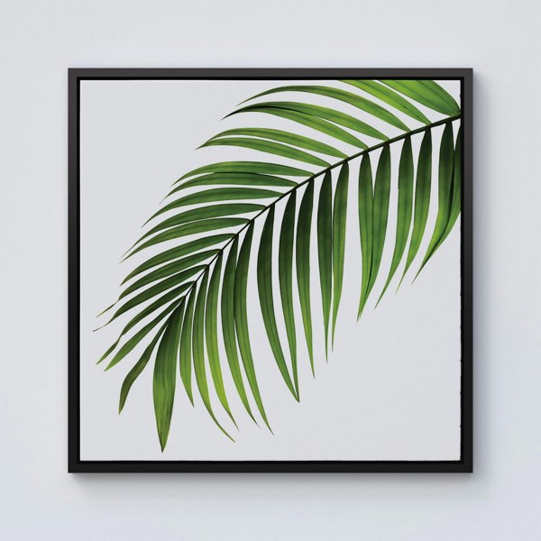 Warren Reed Single Palm Leaf Framed Canvas