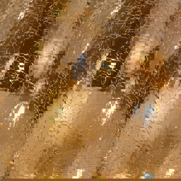 Samuel Alexander 20cm Battery Operated Light up Robin Crackle Glass Ball with 15 Warm White LEDs