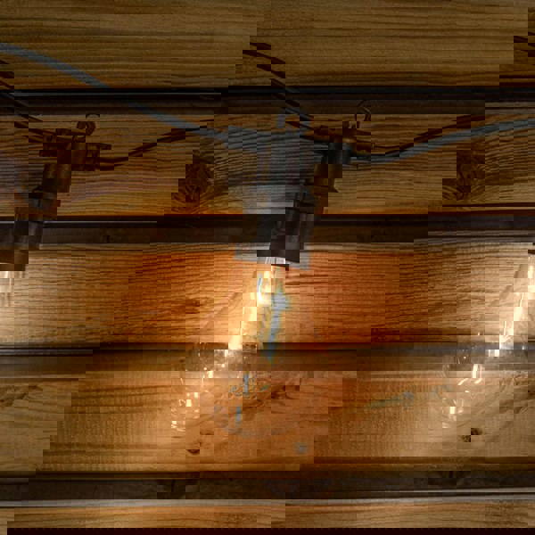 Samuel Alexander Set of 10 Indoor Outdoor Connectable Festoon Lights with Warm White LEDs