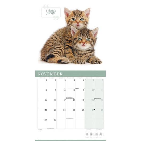 Cute Cats Calendar 2027, Wall Calendars, Month To View, Cats, Gift