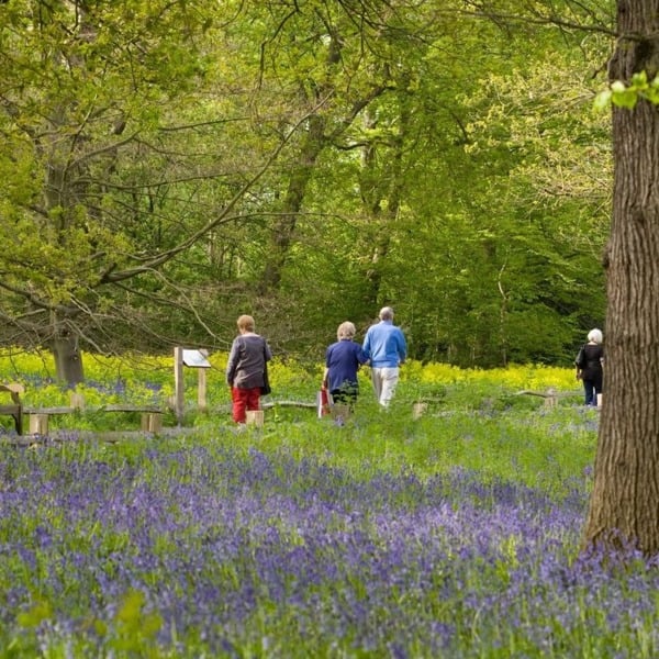 Virgin Experience Days Visit To Kew Gardens With Cream Tea For Two