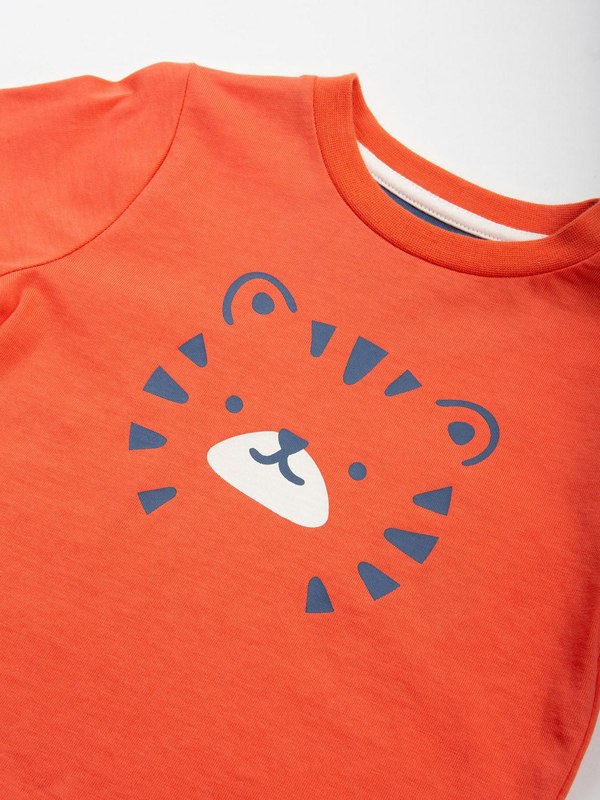 Kite Boys Organic Top Tiger T-Shirt