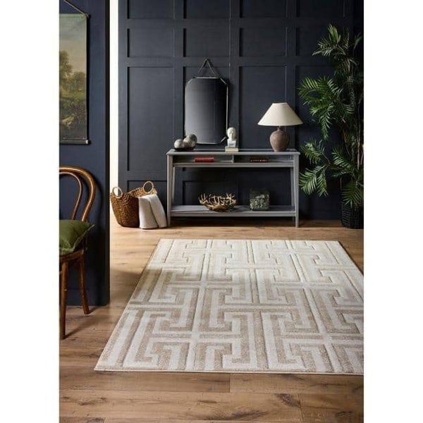 The Rugs Elegant Greek Key Geometric Rug | Durable & Stylish