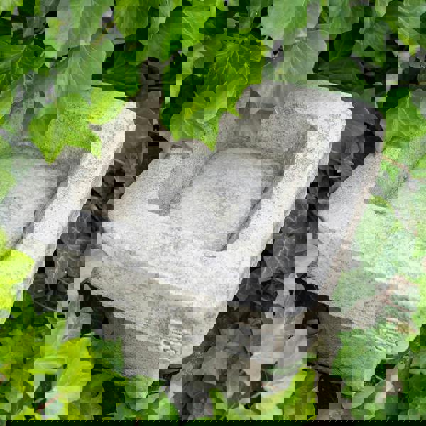 Stone Cast Plain Low Square Birdbath 25 cm Tall