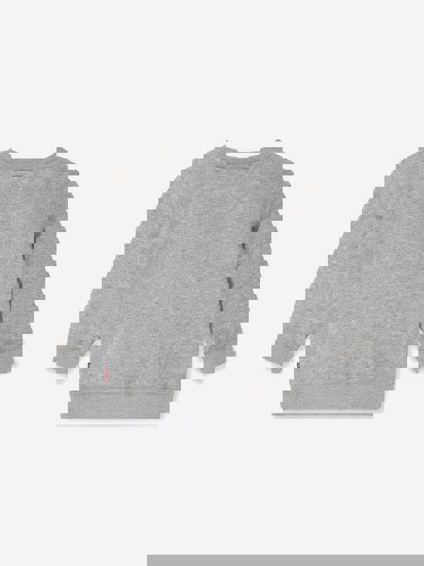 Levi's Kids Wear Levi's Baby Boys Batwing Crewneck Sweatshirt in Grey