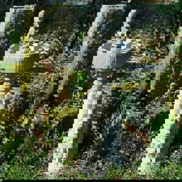 Bamboo Design Stone Cast Birdbath