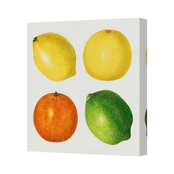Benjamin Tate Design Four Fruit Canvas Wall Art Print Lemon Orange Lime