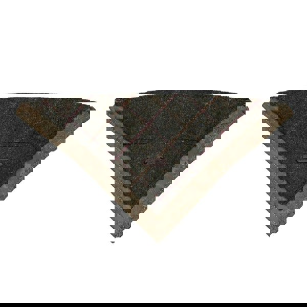 Shop Heritage Tartan Dog Bandanas - Stylish & Secure Fit