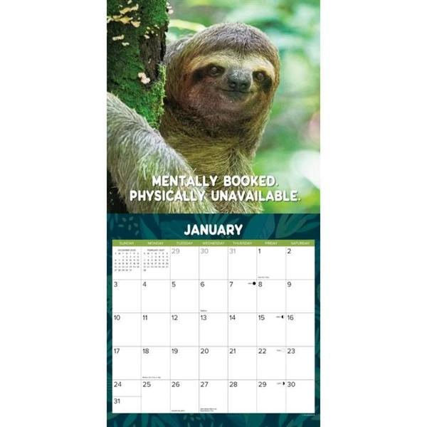 Sloth Mode Calendar 2027, Wall Calendars, Month To View, Animals, Gift