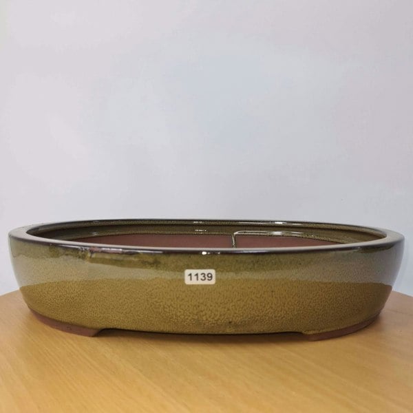 38cm Glazed Bonsai Pot | Oval | 38cm x 31cm x 8cm | Green - Yorkshire Bonsai