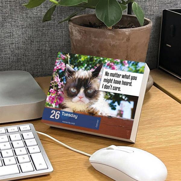 Unbranded Grumpy Cat Desk Calendar 2027, Desk Calendars, Day To View, Humour, Gift