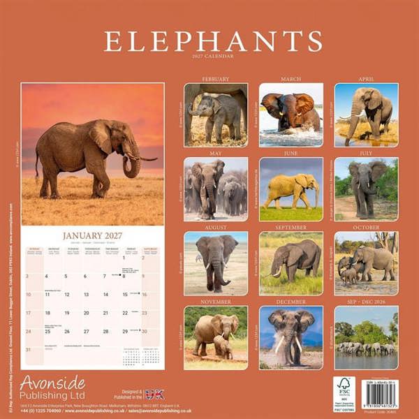 Elephants Calendar 2027, Wall Calendars, Month To View, Animals, Gift