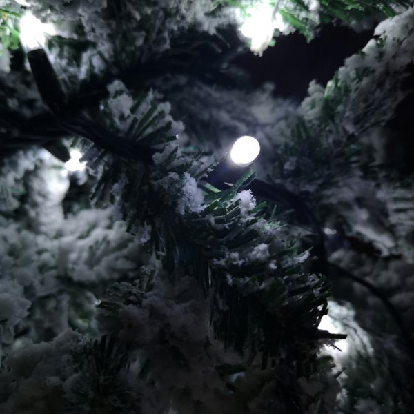 Samuel Alexander 100 LED 8m Premier Christmas Connectable Outdoor Static Lights in Cool White