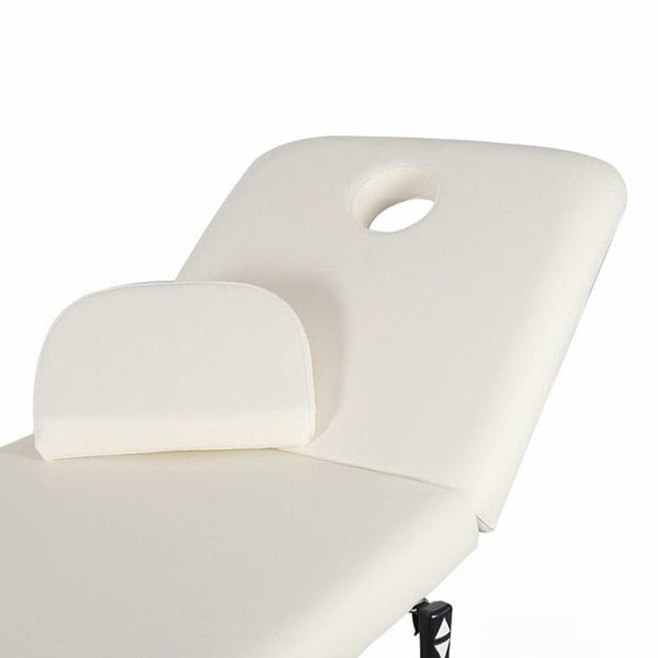 Electric Adjustable Reclining Tattoo Chair - Portable Salon Spa Bed Living and Home