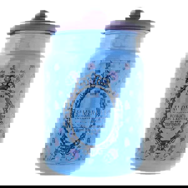 Disney Villains Evil Queen Apple And Black Iris Scented Candle 430g