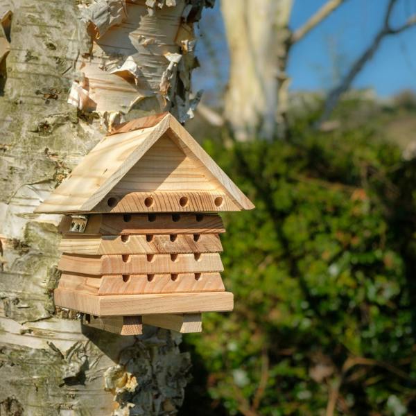Interactive Solitary Bee Hive with Viewing Lid – Wooden Bee Hotel for Garden Pollinators