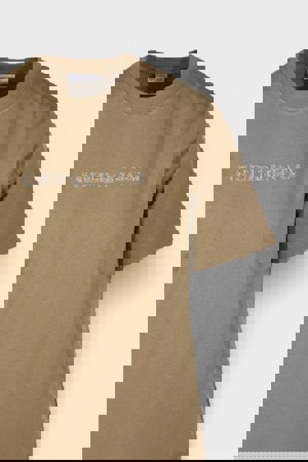 Burberry Paisley Print Logo Cotton T Shirt Teddy Brown