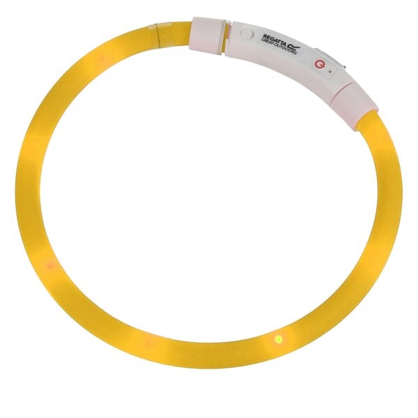 Regatta LED Dog Collar - Yellow