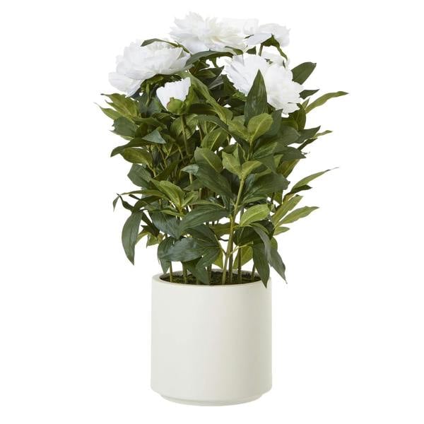 Wyld Haus Artificial Plant Large White Peony Plant In White Ceramic Pot