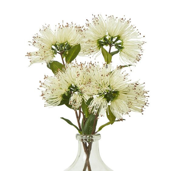 Wyld Haus Set of 3 Artificial Flowers Cream Protea Nitida Sprays