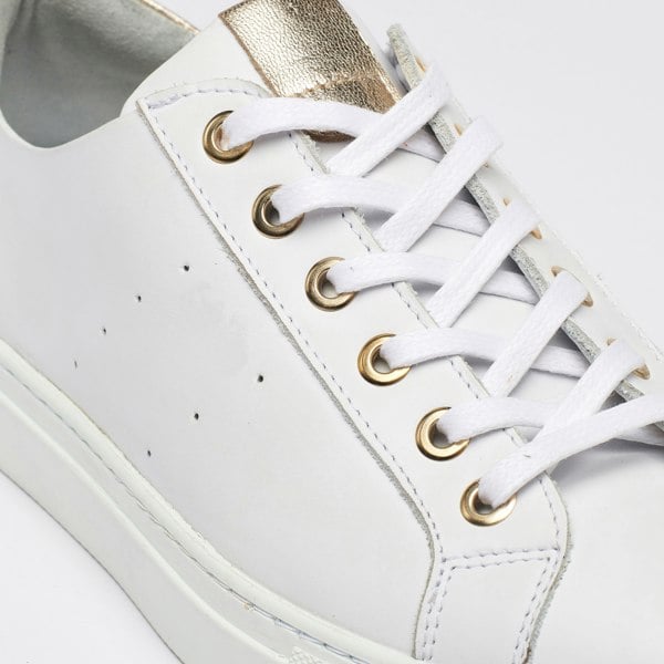 Calla Star Trainers - Smooth White Leather & Champagne