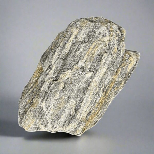 Yorkshire Bonsai 1 x Decorative Rock for Bonsai Tree Landscapes | Maple Bark | 5-10cm