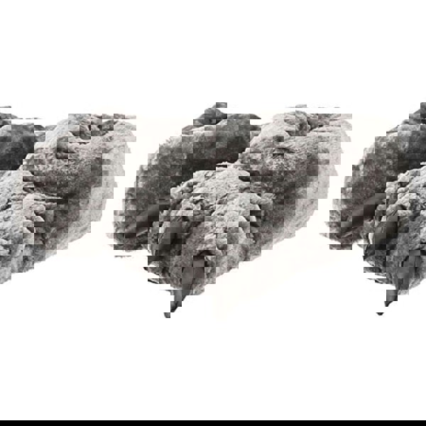 t4option1_1