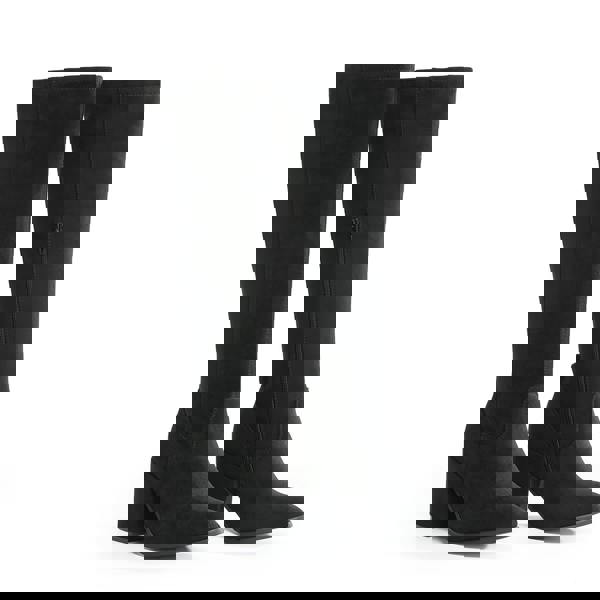 VIVA Quinn: Womens Knee High Heeled Long Boots