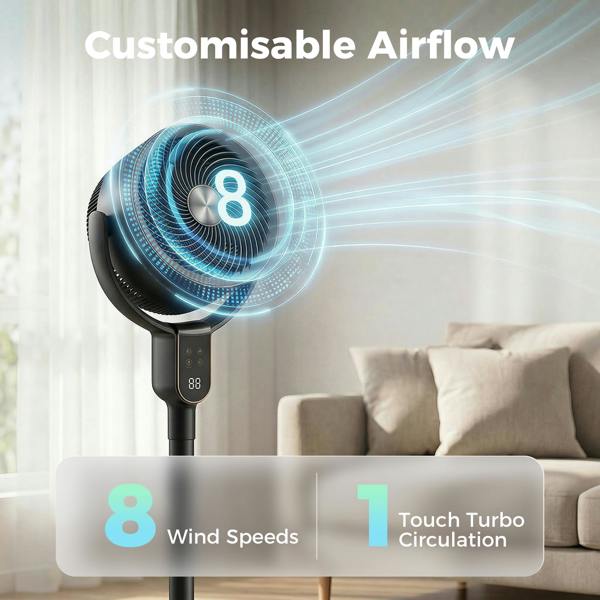 Air Circulator Fan