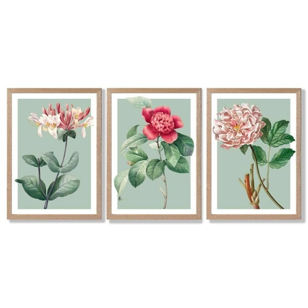 Artze Wall Art Vintage Flowers Honeysuckle, Peony Set of 3 Framed Prints