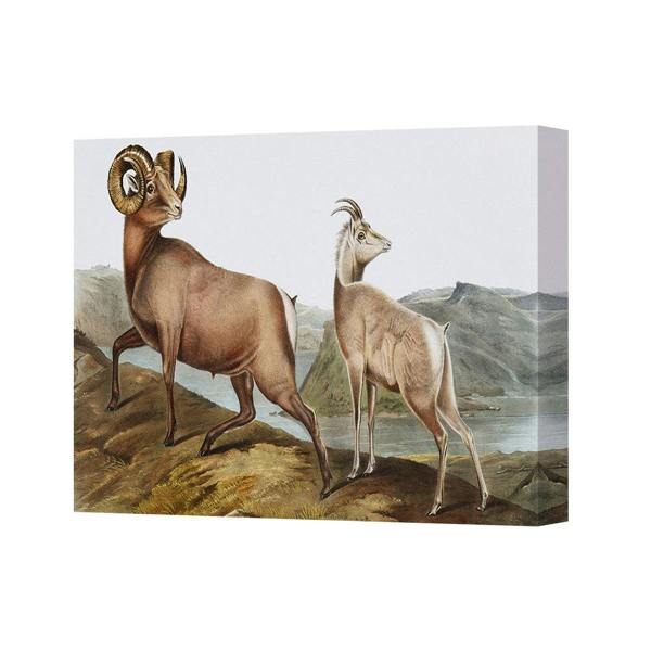 Benjamin Tate Design Canvas Wall Art Mountain Goats Landscape Print Home Decor