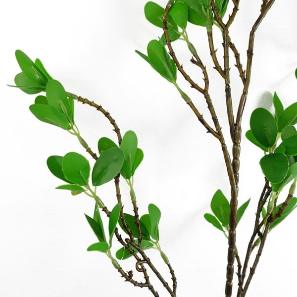 Leaf Pack of 6 x 100cm Mini Leaf Ficus Stem