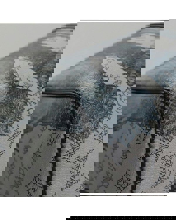 221871022.jpg