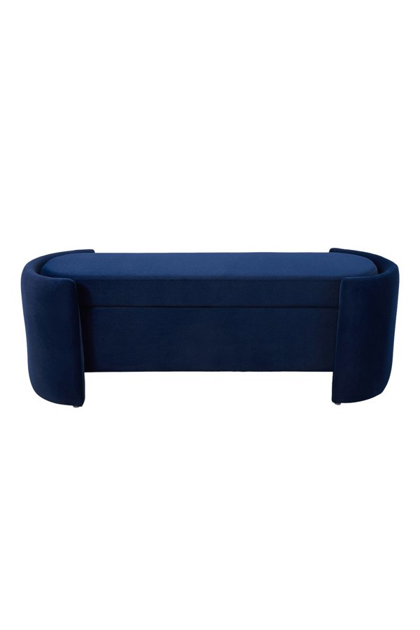 Living and Home Storage Bench in Blue