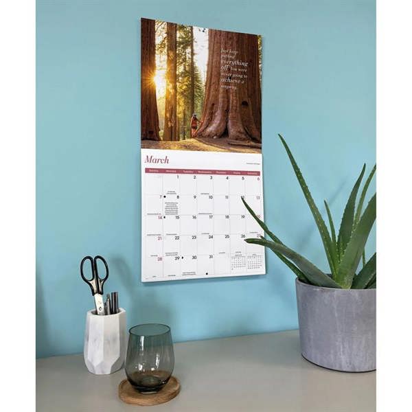 Demotivation Calendar 2027, Wall Calendars, Month To View, Lifestyle, Gift