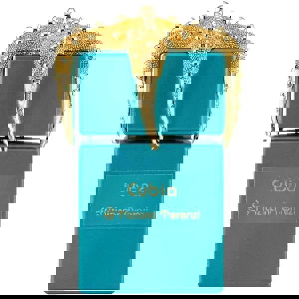 Tiziana Terenzi Cubia Extrait de Parfum 100ml