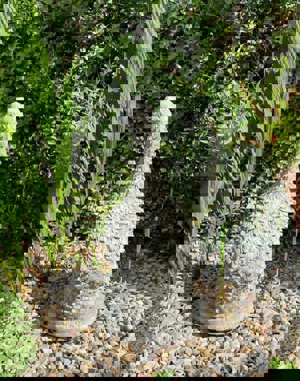 Detailed Stone Cast Goose Ornament